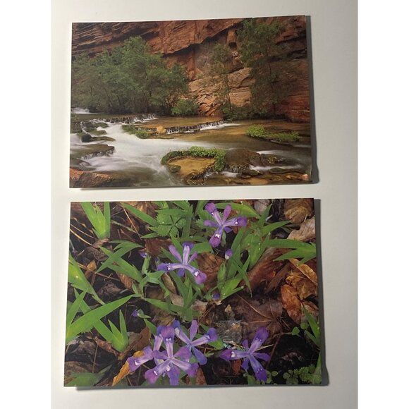 Current Note Cards Blank Floral Scenery Just Notes Self Sealing Photography VTG - Picture 14 of 15